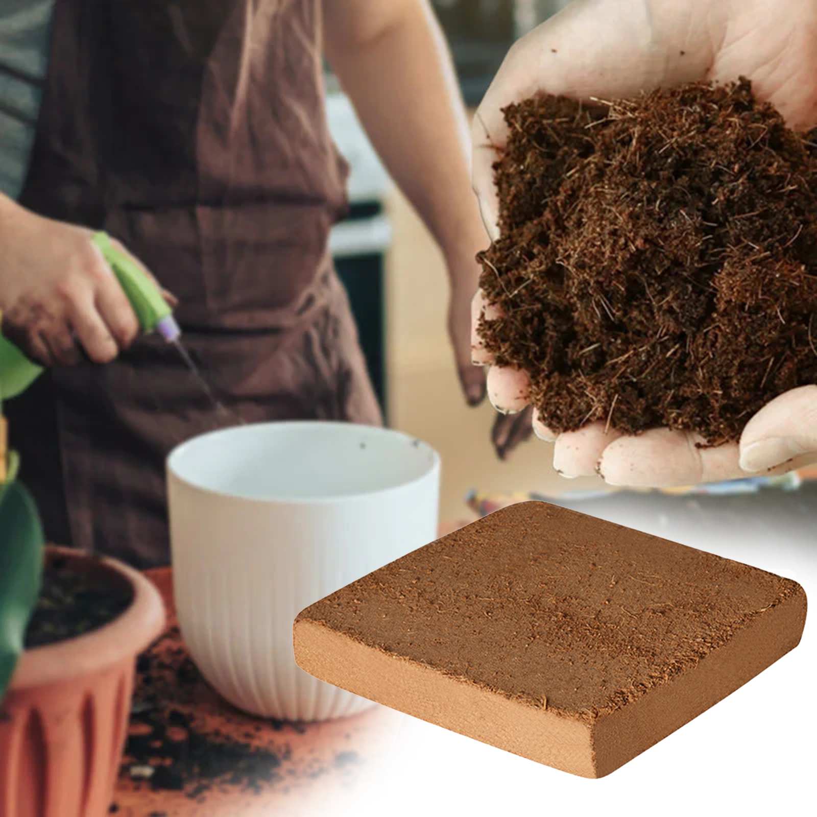 Soil Coconut Fibre Terrarium S - Substrate Coconut Fiber recensione e prezzo