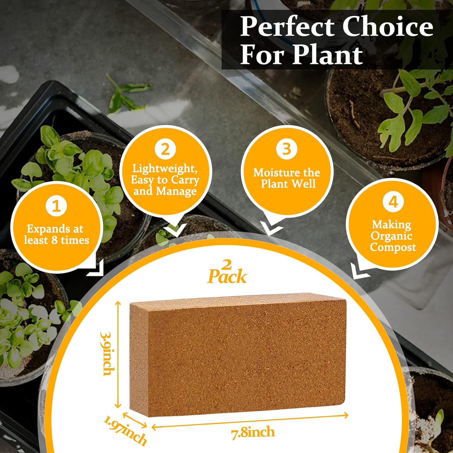 2pcs Organic Coco Coir Bricks  - Substrate Coconut Fiber recensione e prezzo