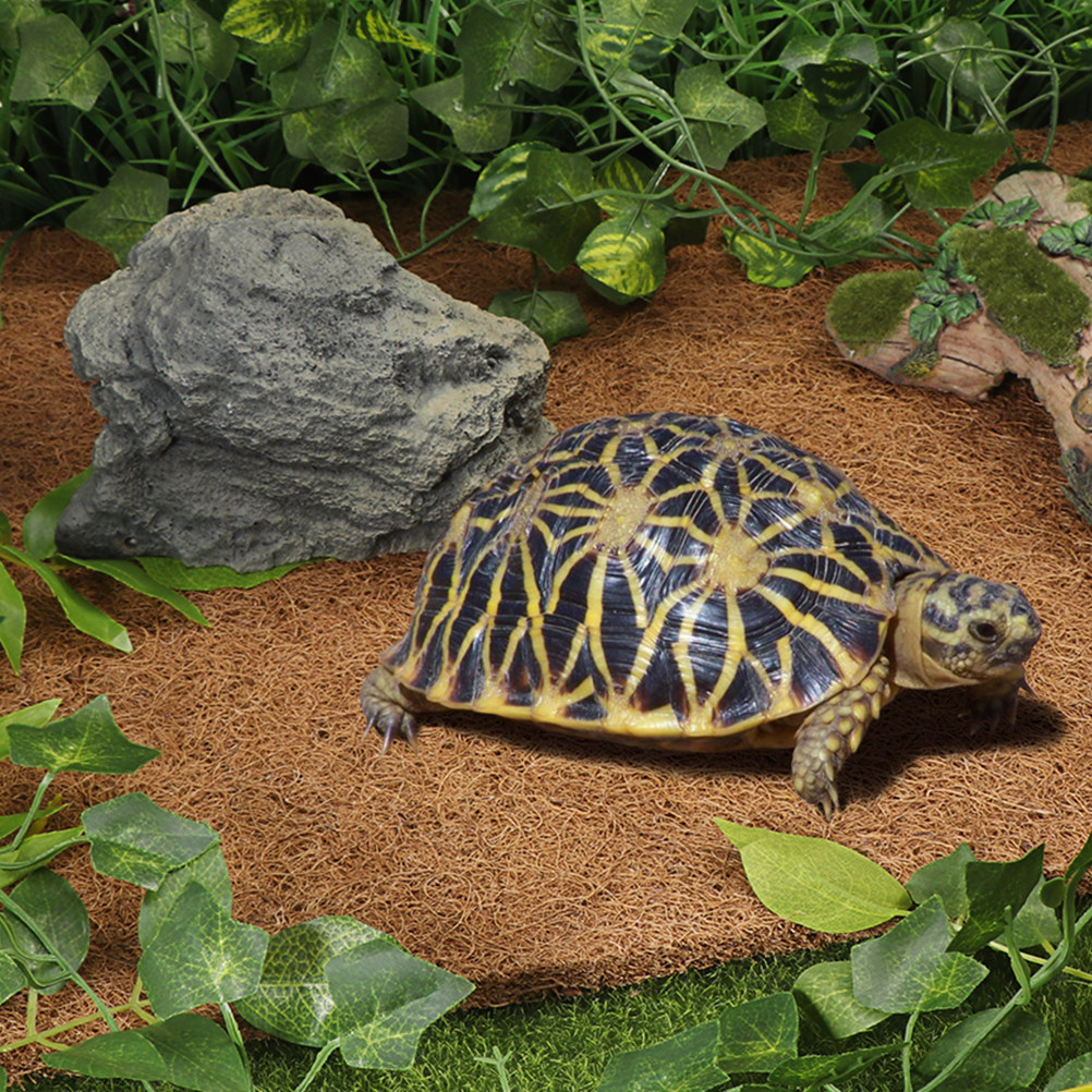 Natural Coconut Fiber Reptile  - Substrate Coconut Fiber recensione e prezzo