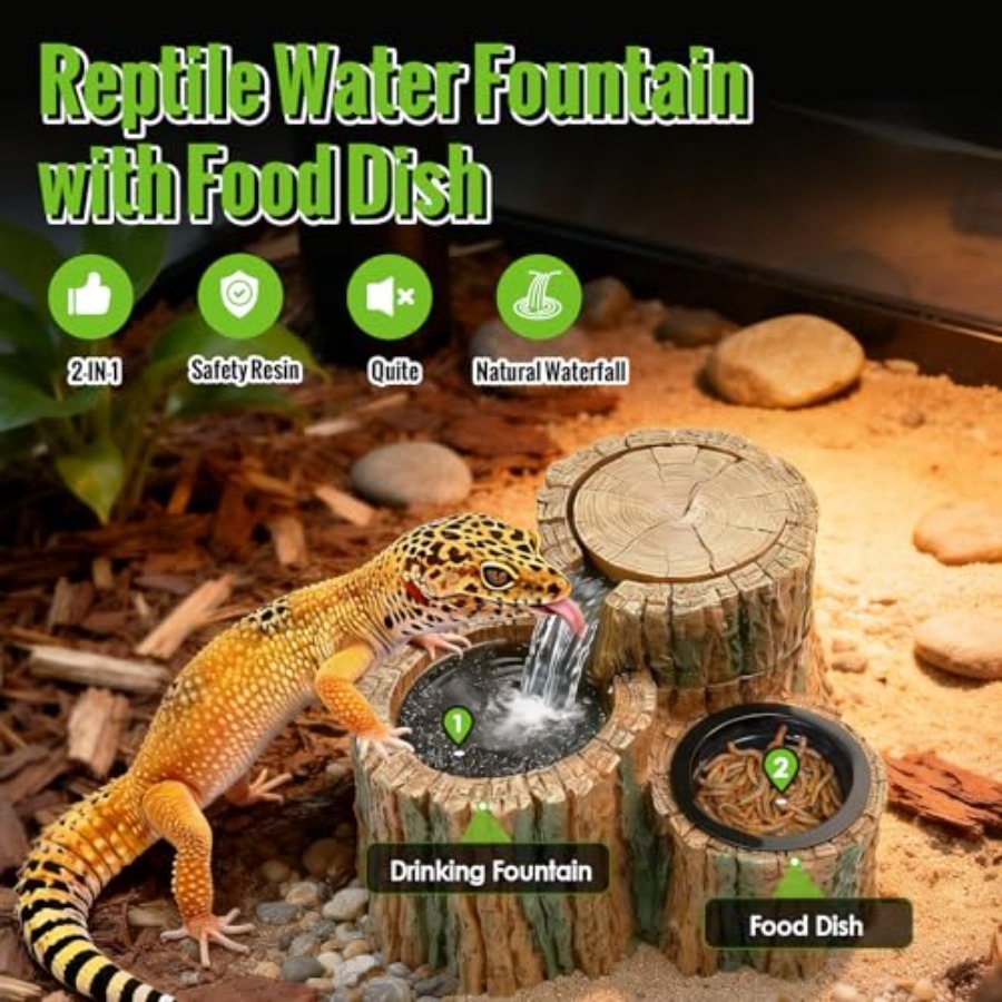 2 in 1 Reptile Water Fountain  - Water Dish Reptile recensione e prezzo
