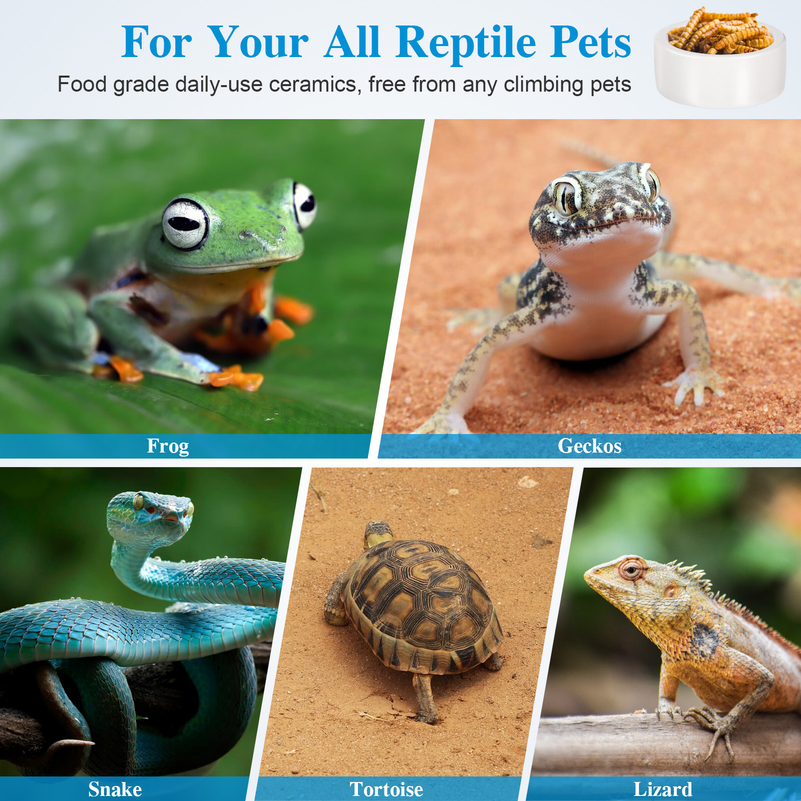 3Pcs Heavy Duty Ceramic Reptil - Water Dish Reptile recensione e prezzo